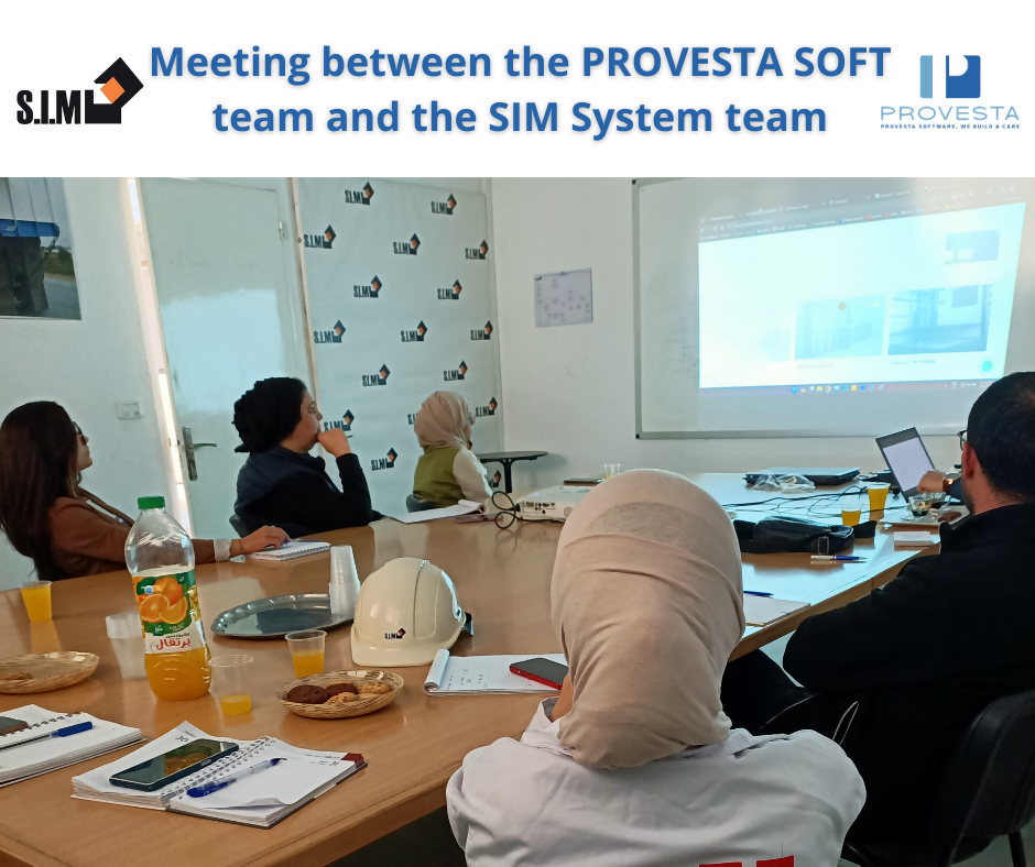 Meeting between the PROVESTA SOFT team and the SIM System team